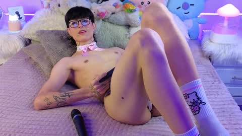  Dani  online show from 3, 12, 2024