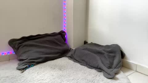 Snapshot of babycrazy24love chatting on 2, 3, 2025 babycrazy24love online show from 2, 3, 2025