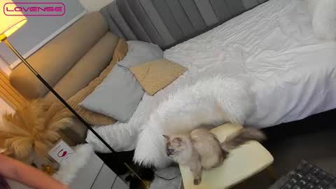 Snapshot of babygoddess4u chatting on 27, 10, 2025 ASK ME IN PM online show from 27, 10, 2025