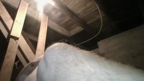 Snapshot of babyxxxangel chatting on 20, 9, 2025 babyxxxangel online show from 20, 9, 2025