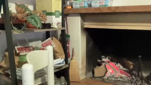 Snapshot of bach77 chatting on 12, 12, 2024 bach online show from 12, 12, 2024