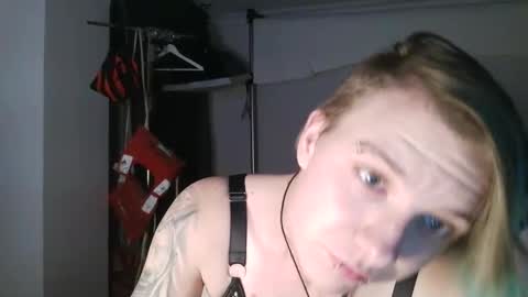 Honey online show from 5, 1, 2026