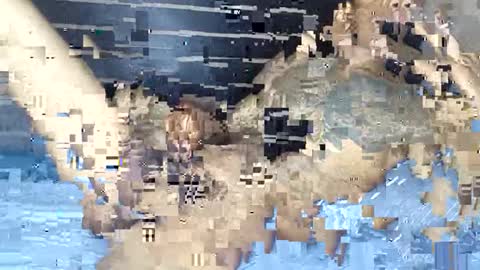 rastafaria online show from 3, 2, 2026