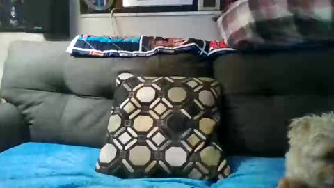badcady0 online show from 30, 9, 2025