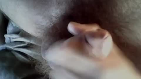 Baghira online show from 27, 9, 2025