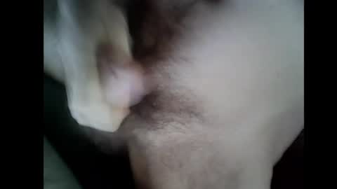 Baghira online show from 14, 12, 2025