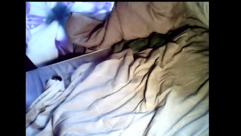 Baghira online show from 22, 2, 2026