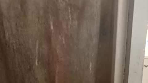 ballshanginglowaf online show from 28, 9, 2025