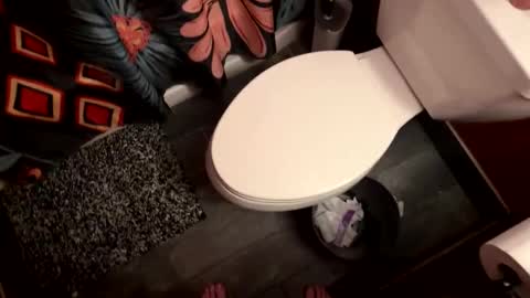 ballsjaws044 online show from 4, 2, 2026