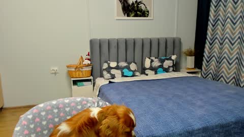 Snapshot of bam_bi chatting on 10, 1, 2025 Kira online show from 10, 1, 2025