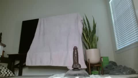 bambirachel1 online show from 23, 6, 2026