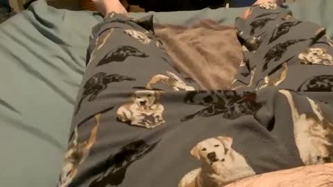 bandman862 online show from 11, 12, 2024