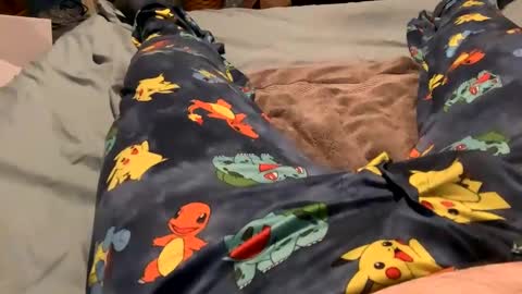 bandman862 online show from 23, 1, 2025