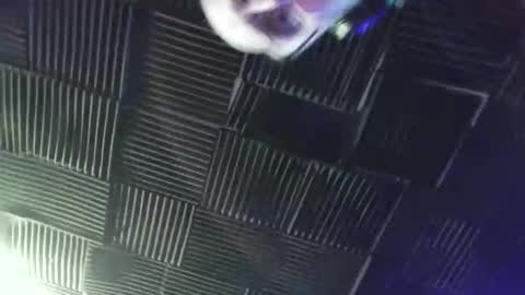 BANJOEY online show from 18, 4, 2026