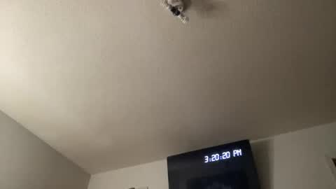 Snapshot of bankofchell chatting on 25, 3, 2026 Chelly online show from 25, 3, 2026