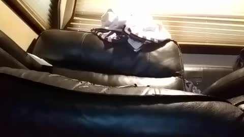 baobabtree8 online show from 14, 1, 2025