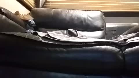 baobabtree8 online show from 26, 9, 2025