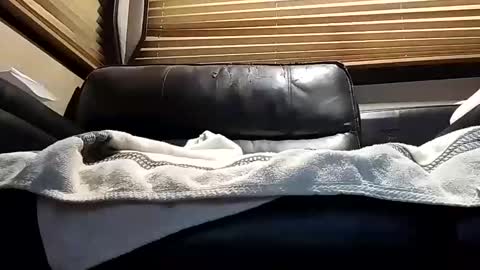 baobabtree8 online show from 4, 10, 2025