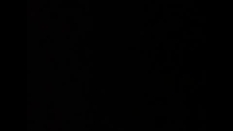 barbarosarslanlar online show from 20, 9, 2025