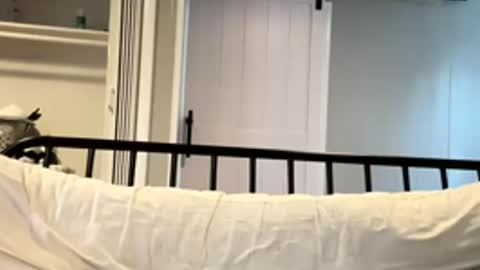 Tsbaby301 online show from 2, 3, 2026