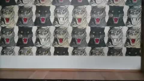 Snapshot of basrutten1 chatting on 6, 3, 2025 Bas online show from 6, 3, 2025