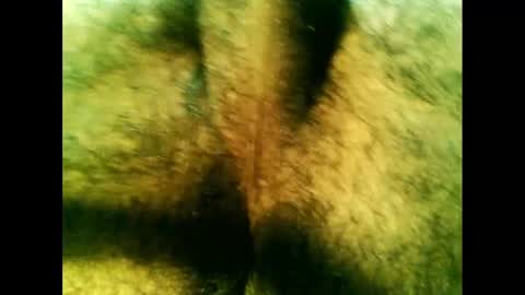 Snapshot of bayfall chatting on 14, 12, 2024 bayfall online show from 14, 12, 2024