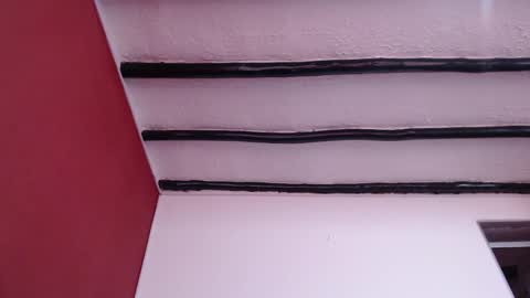 bayonette_black online show from 7, 12, 2024