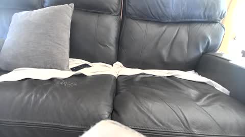 Snapshot of bbwcpl_4u2c chatting on 3, 10, 2025 Arduous online show from 3, 10, 2025