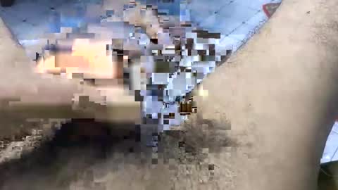 Snapshot of bd_sam_69 chatting on 2, 11, 2025 bd_sam_69 online show from 2, 11, 2025