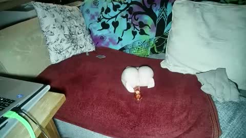 Snapshot of be4your_desire chatting on 18, 11, 2025 mikiforfun online show from 18, 11, 2025