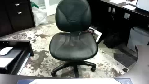 beagle1 online show from 14, 10, 2025