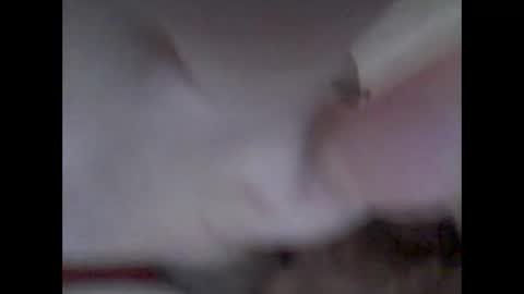 Snapshot of bear14250949 chatting on 14, 11, 2025 bear14250949 online show from 14, 11, 2025