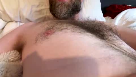 beard_papa online show from 20, 4, 2026