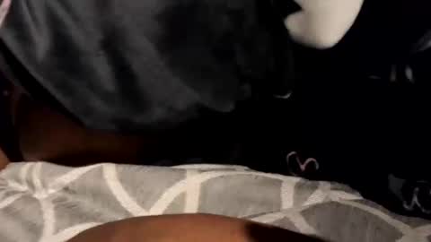 BeastyAdamsTgExotic online show from 15, 2, 2025