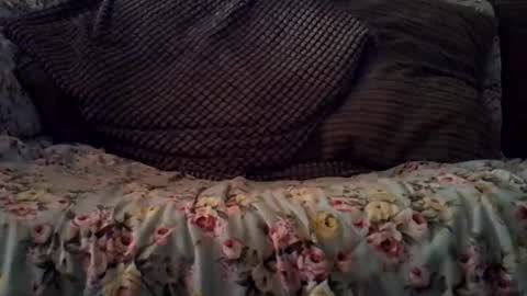 Snapshot of beatlebut chatting on 16, 10, 2025 beatlebut online show from 16, 10, 2025