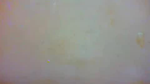 Eva online show from 23, 1, 2025