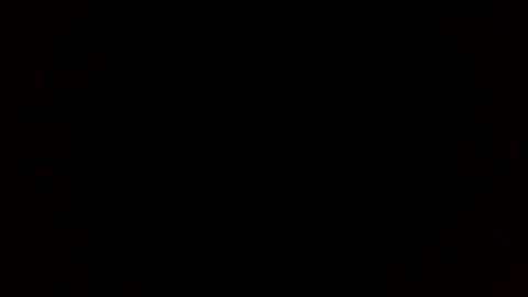 beef_sperm online show from 28, 3, 2026