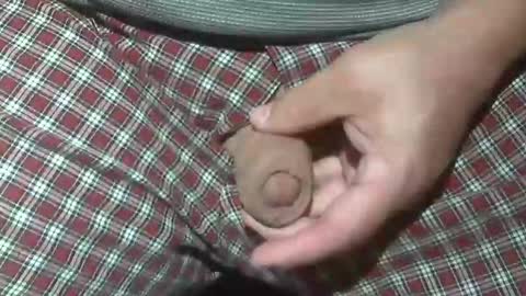  Reservoir Dogs online show from 20, 10, 2025