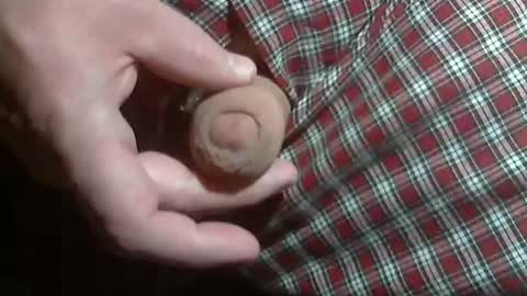  Reservoir Dogs online show from 12, 1, 2026