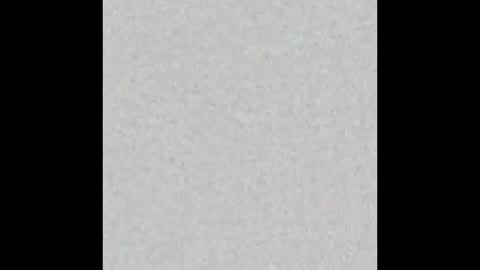 Zia online show from 13, 1, 2025