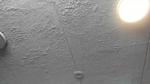  Bella  online show from 4, 12, 2025