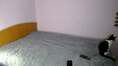 bellaqueen0701 online show from 6, 3, 2025