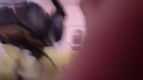 Bella online show from 28, 3, 2026