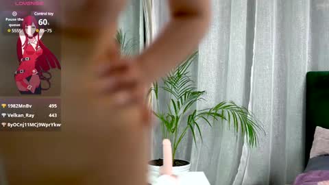 Belle online show from 12, 2, 2025