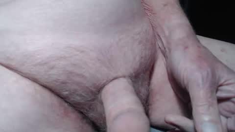 bender41 online show from 5, 10, 2025