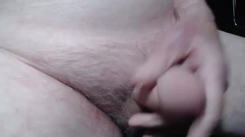 bender41 online show from 9, 10, 2025