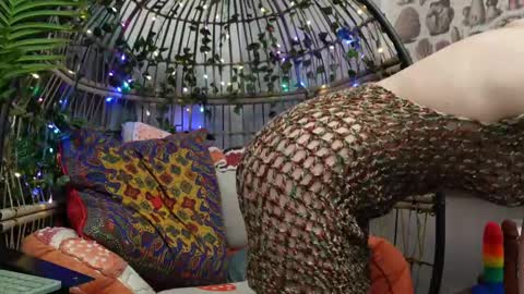 Willow online show from 17, 11, 2025