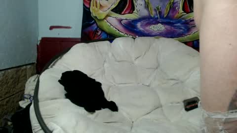 Bent Bunny online show from 8, 7, 2026