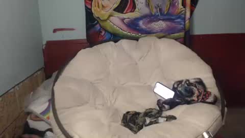 Bent Bunny online show from 22, 7, 2026