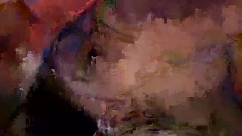 bentito2 online show from 1, 7, 2026